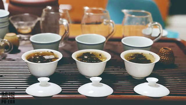 普洱杂志