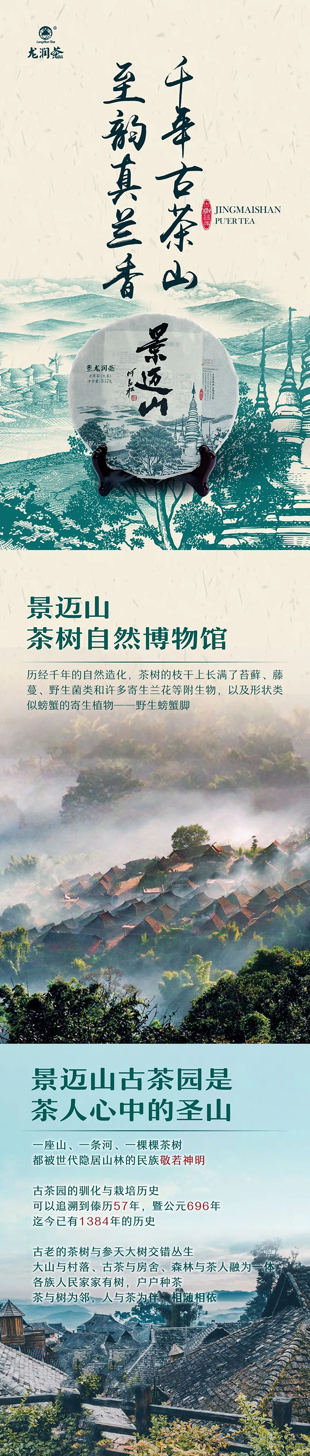 龙润茶普洱茶