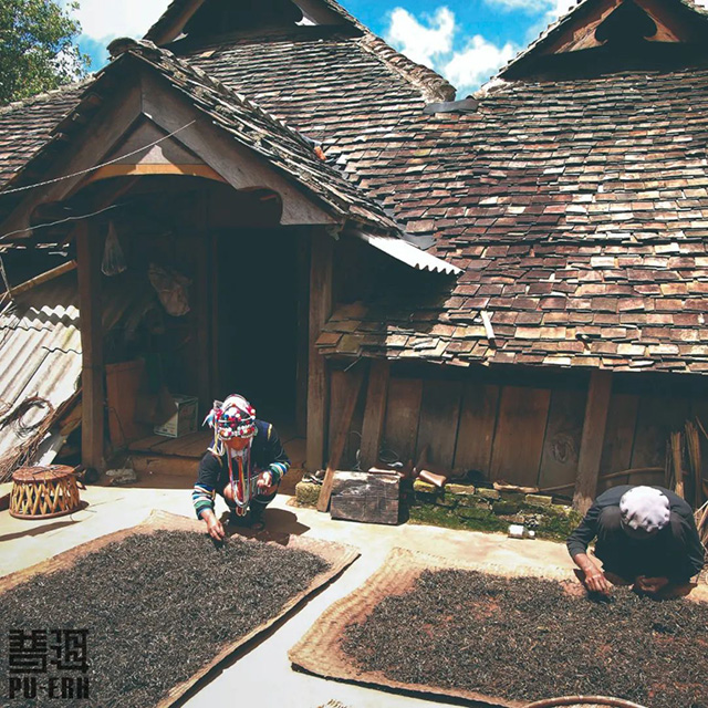 普洱杂志