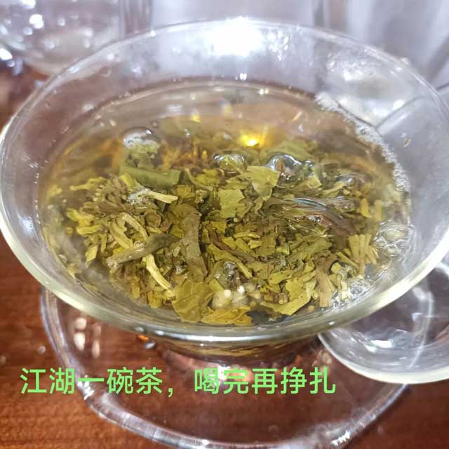 云茶观察