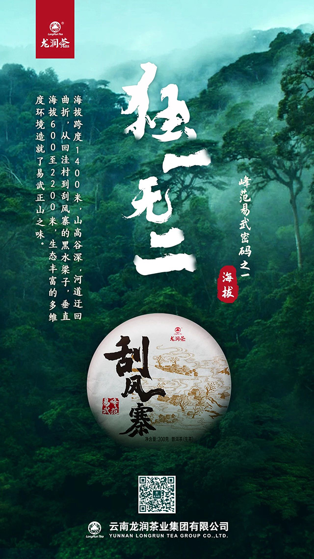 龙润茶易武茶