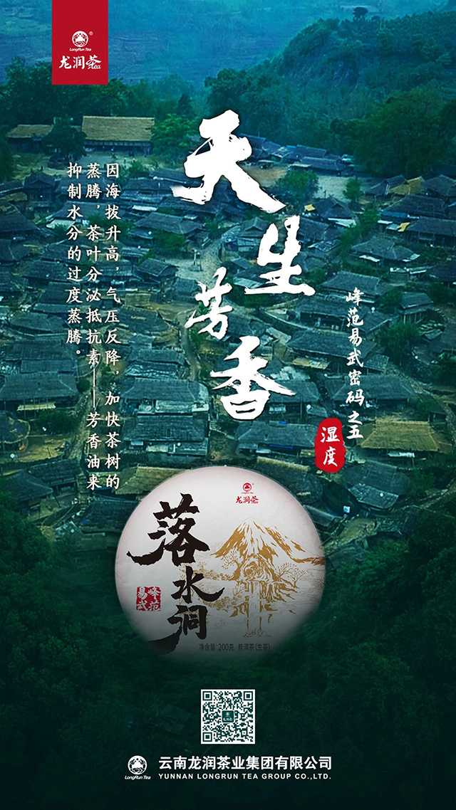 龙润茶易武茶