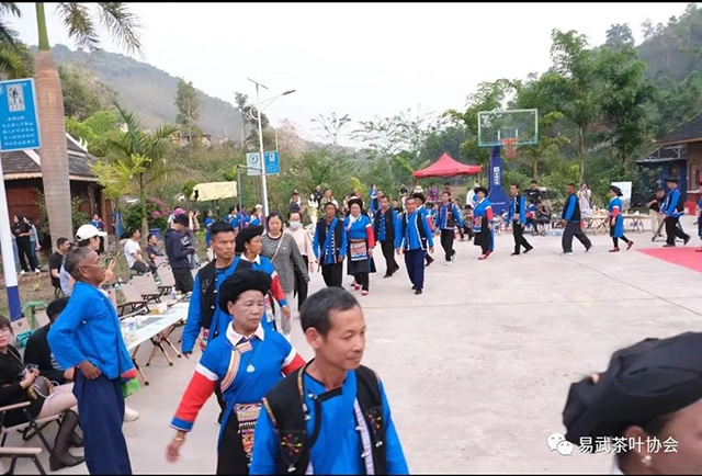 易武茶叶协会