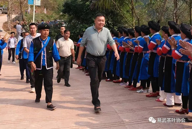 易武茶叶协会