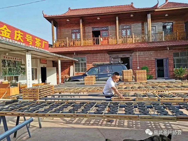易武茶叶协会