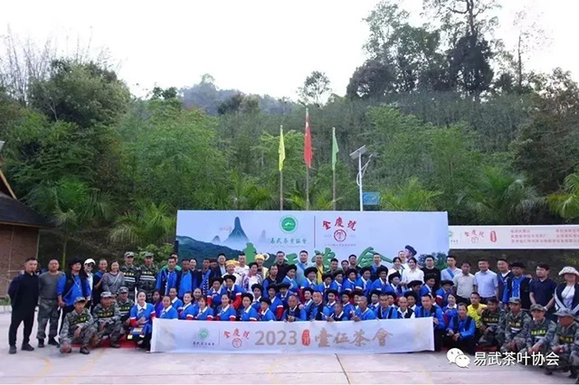 易武茶叶协会