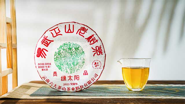 六大茶山贡品绿太阳易武茶