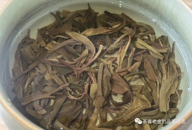 萧关茶事2022年丰沙里高杆茶品