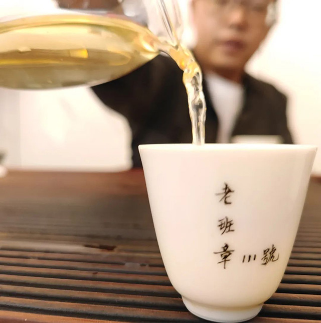 天弘茶业2023年茶山行