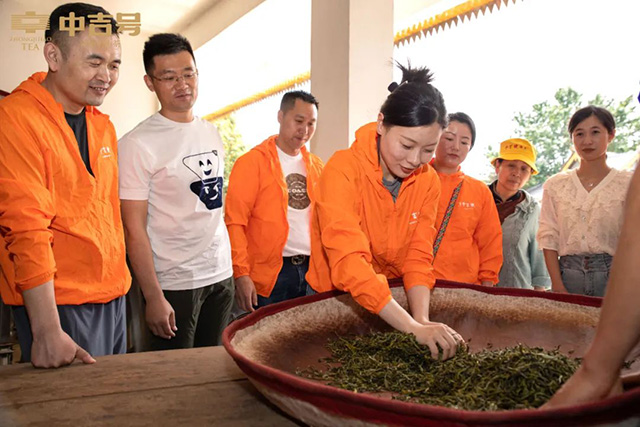 中吉号吉遇之旅茶山行