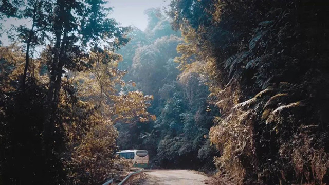 普洱杂志茶山行