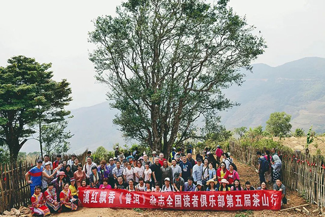 普洱杂志茶山行