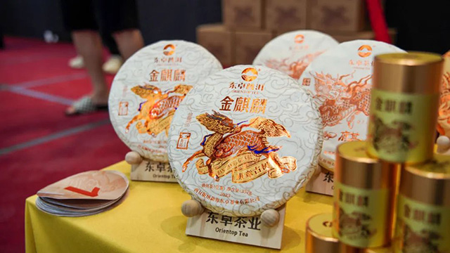 东卓普洱金麒麟