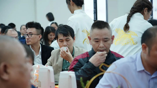 东卓普洱金麒麟