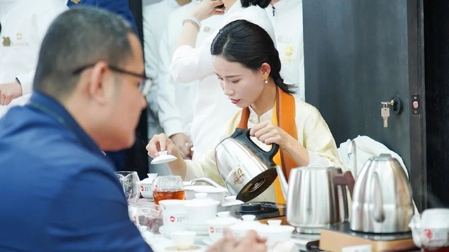 东卓普洱金麒麟