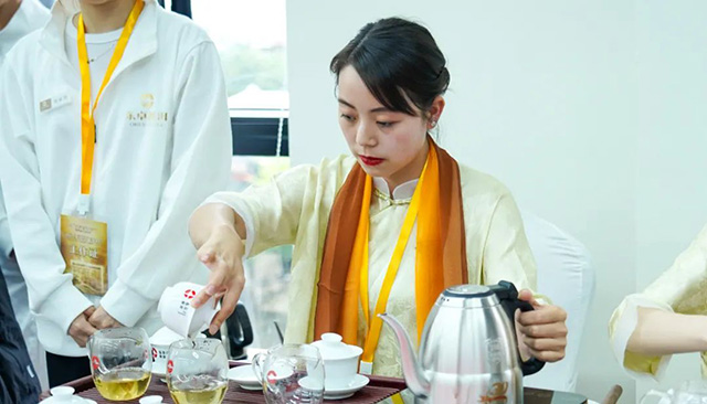 东卓普洱金麒麟