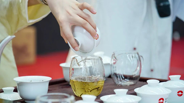 东卓普洱金麒麟