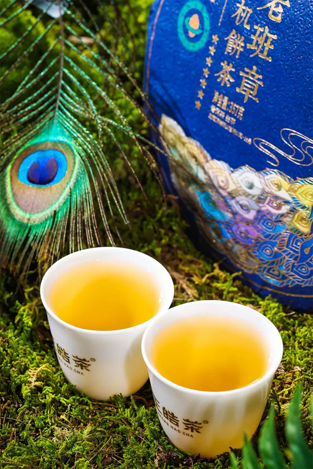 正皓茶品牌