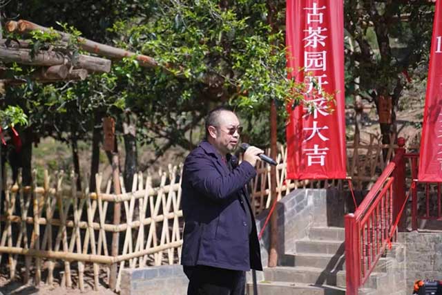 津乔冰岛1485古茶园开采仪式暨春茶质量保荐溯源启动仪式圆满举行