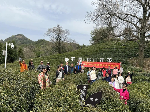祥源茶祁门红茶