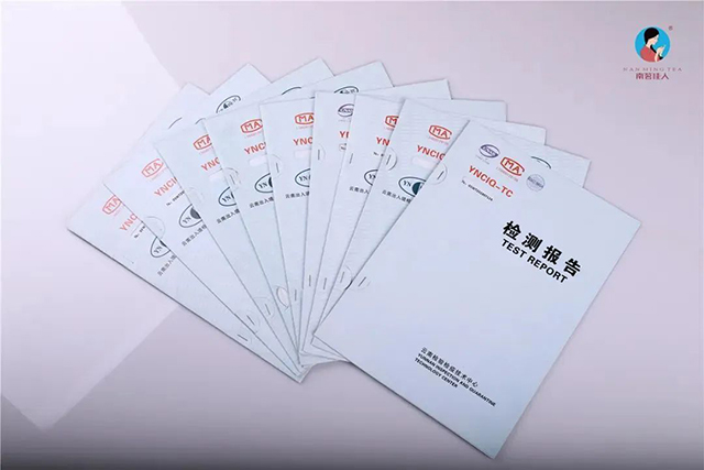南茗佳人茶山行
