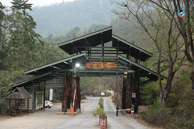 南茗佳人茶山行