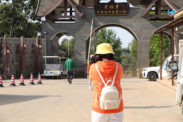 南茗佳人茶山行