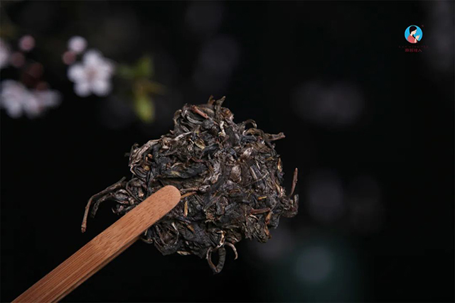 南茗佳人茶山行