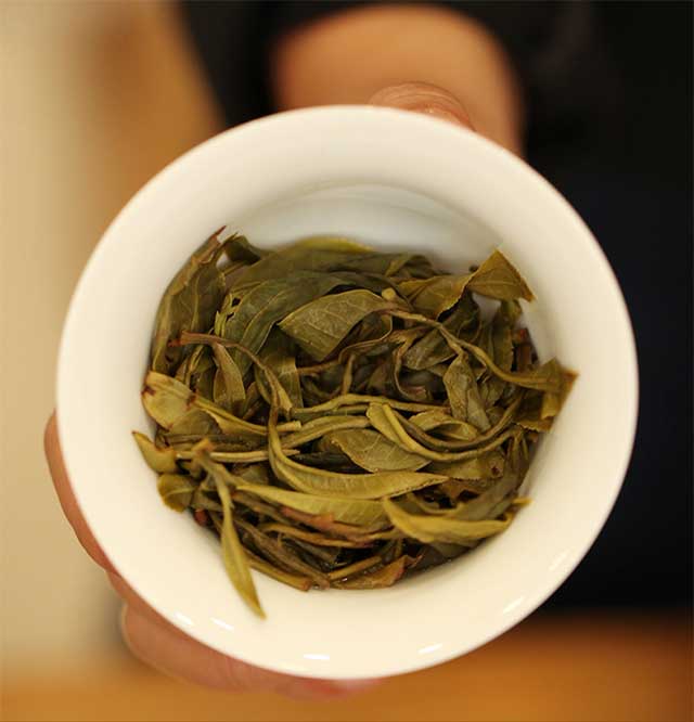 荣瑞祥2023年隐春茶普洱茶品质特点