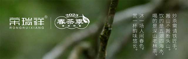 荣瑞祥2023年隐春茶普洱茶品质特点