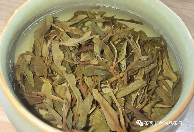 流星赶月普洱茶2023年薄荷塘中树品质特点