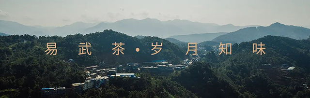 岁月知味2023年争春系列普洱生茶