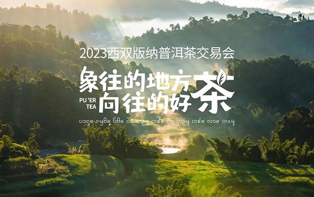 合和昌茶业新品西双版纳傣族自治州成立七十周年纪念茶