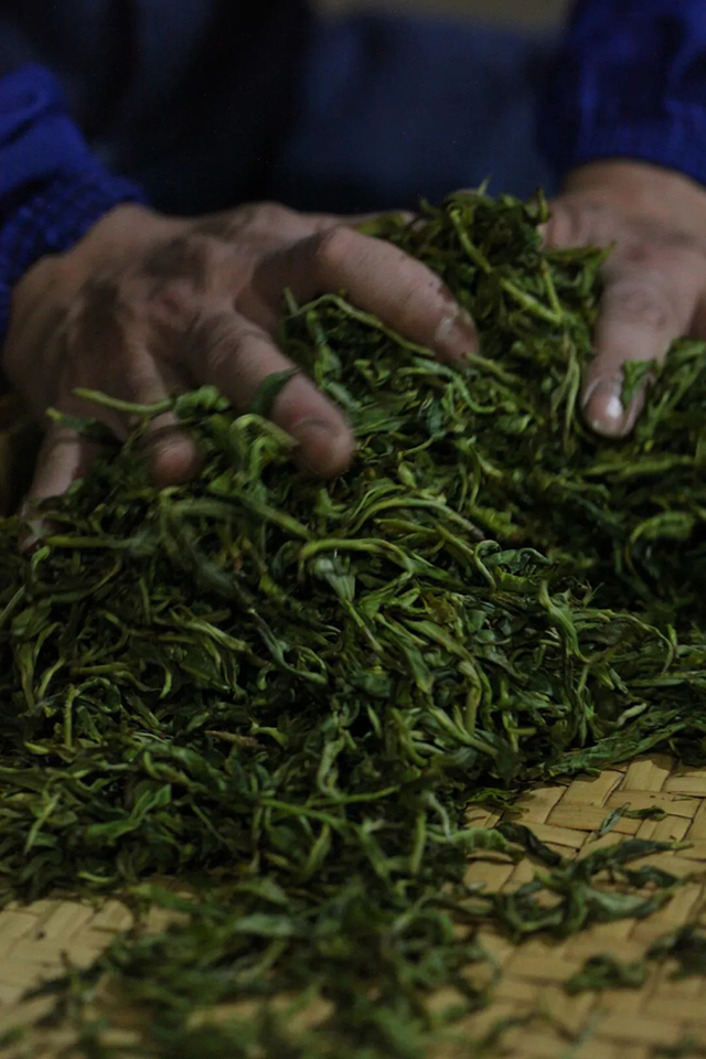 荣瑞祥百藤花林鸡嘴壳古树茶