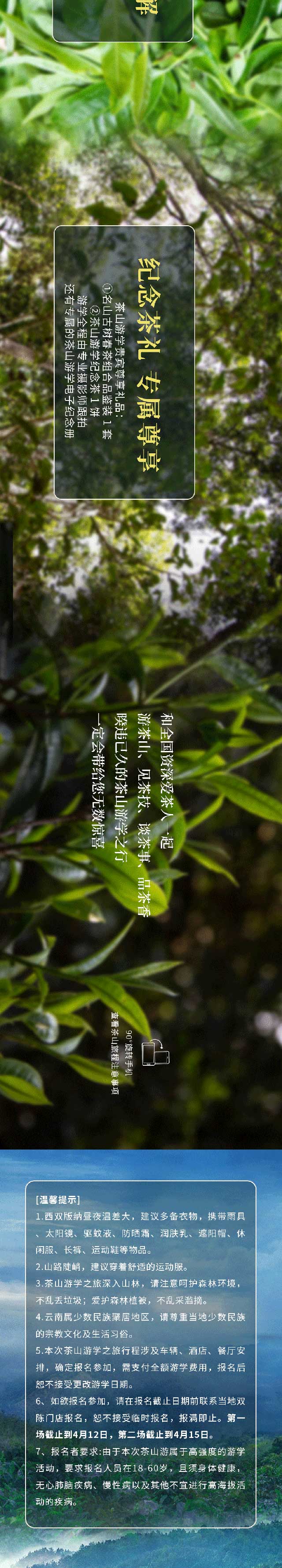 双陈普洱茶