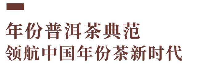 双陈普洱东莞凤岗旗舰店盛大开业