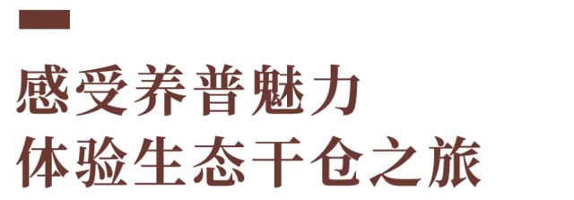 2023双陈普洱春季全国经营商会议暨双陈五星新品发布会