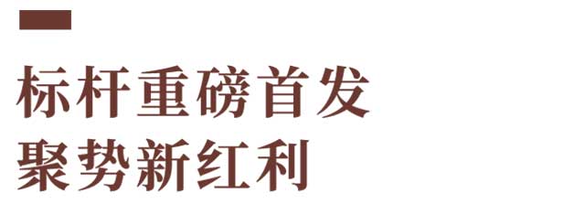 2023双陈普洱春季全国经营商会议暨双陈五星新品发布会