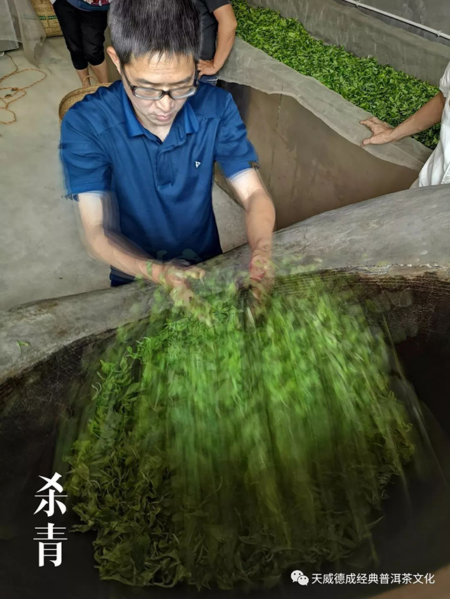 天威德成经典普洱茶文化