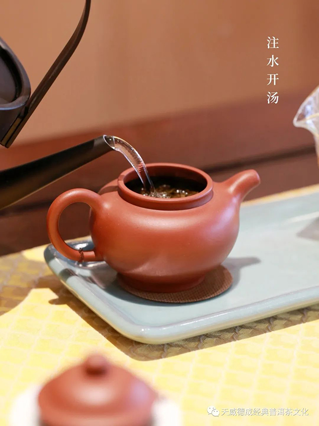 天威德成2023年品鉴生茶普洱茶品质特点