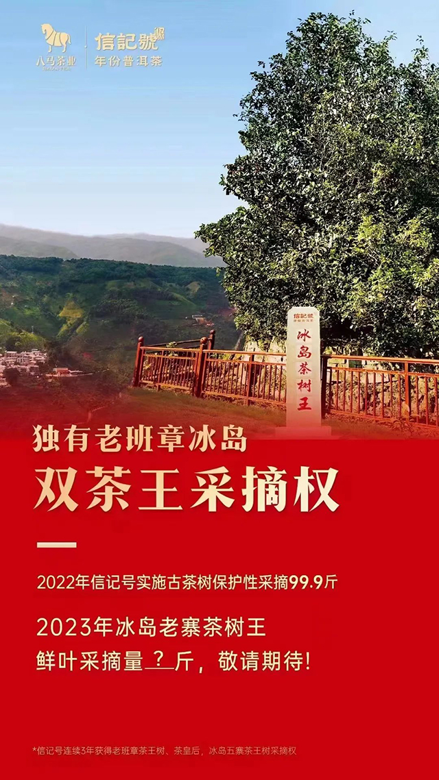 2023年云南茶叶价格信息传播的情况