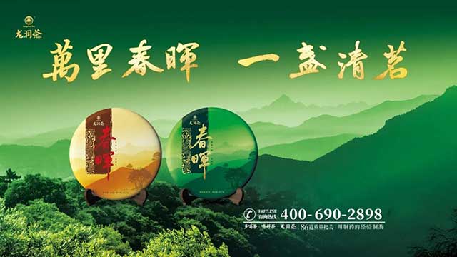 2023龙润茶春晖普洱茶