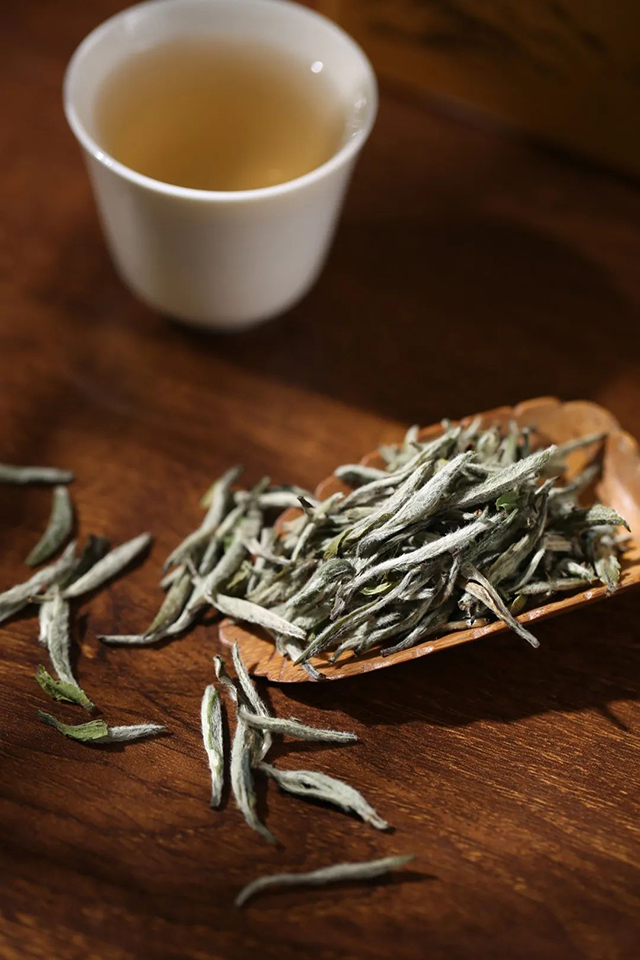祥源茶2023年白毫银针收藏装