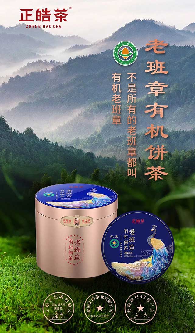 正皓老班章有机饼茶品鉴详情