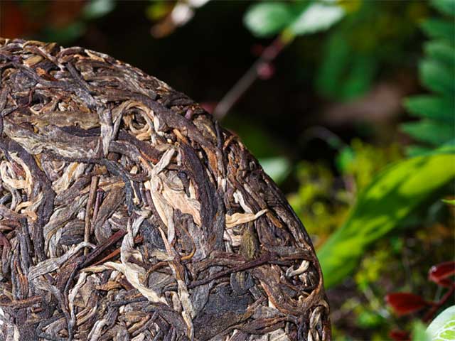 正皓老班章有机饼茶品鉴详情