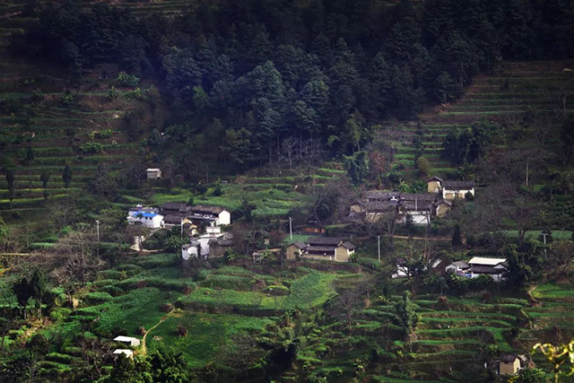 2023龙润茶润贡峰味鼎藏之旅活动