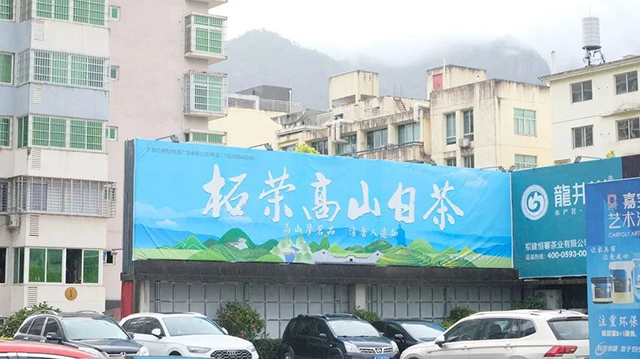 酒店门口显眼的柘荣高山白茶广告
