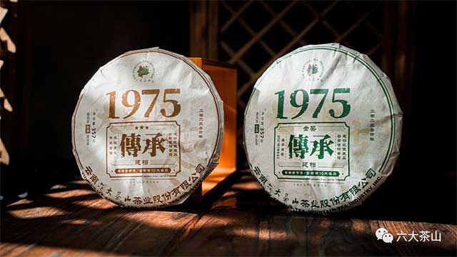 六大茶山传承1975普洱茶品质特点