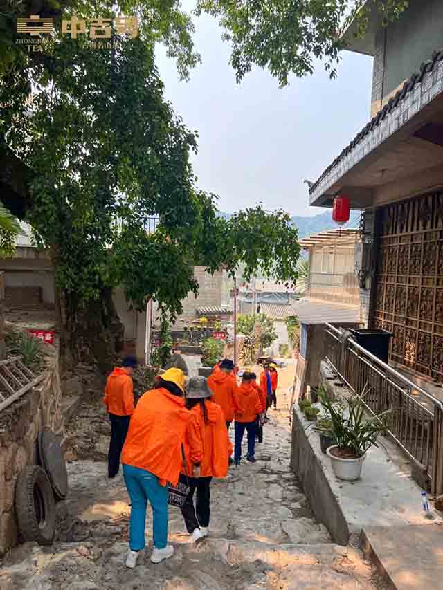 中吉号吉遇茶山行探寻之旅