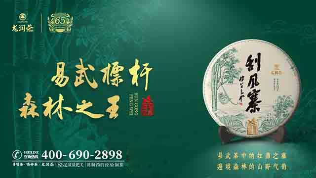 2023龙润茶易武刮风寨普洱茶品质特点